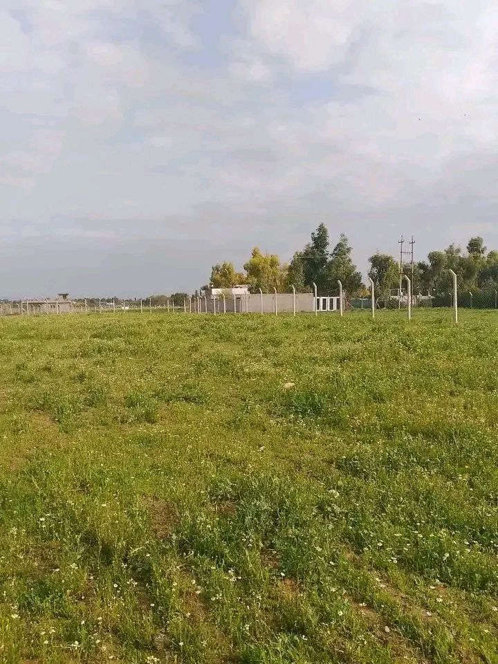 قطعه ارض زراعي للبيع مساحه ١ دونم في كركوك ليلان بعد جامع محمدي قريبه من شارع رئيسي بيها ماء وكهرباء وبيها بيت كرفان قطعه مسيجه كامل قريبه من خدمات  سعره ١٨ مليون للمزيد من المعلومات اتصال على رقم مبايل ***********
