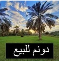 ٤١٠ دونم • طابو ٢٥ تحويل • كوت واسط