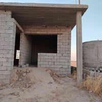 هيكل • دواجن العدس • سعر خاص