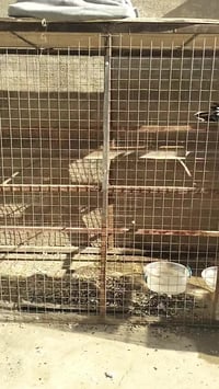 تكريت الديوم • ديكور منزلي • تفاصيل بالفيديو