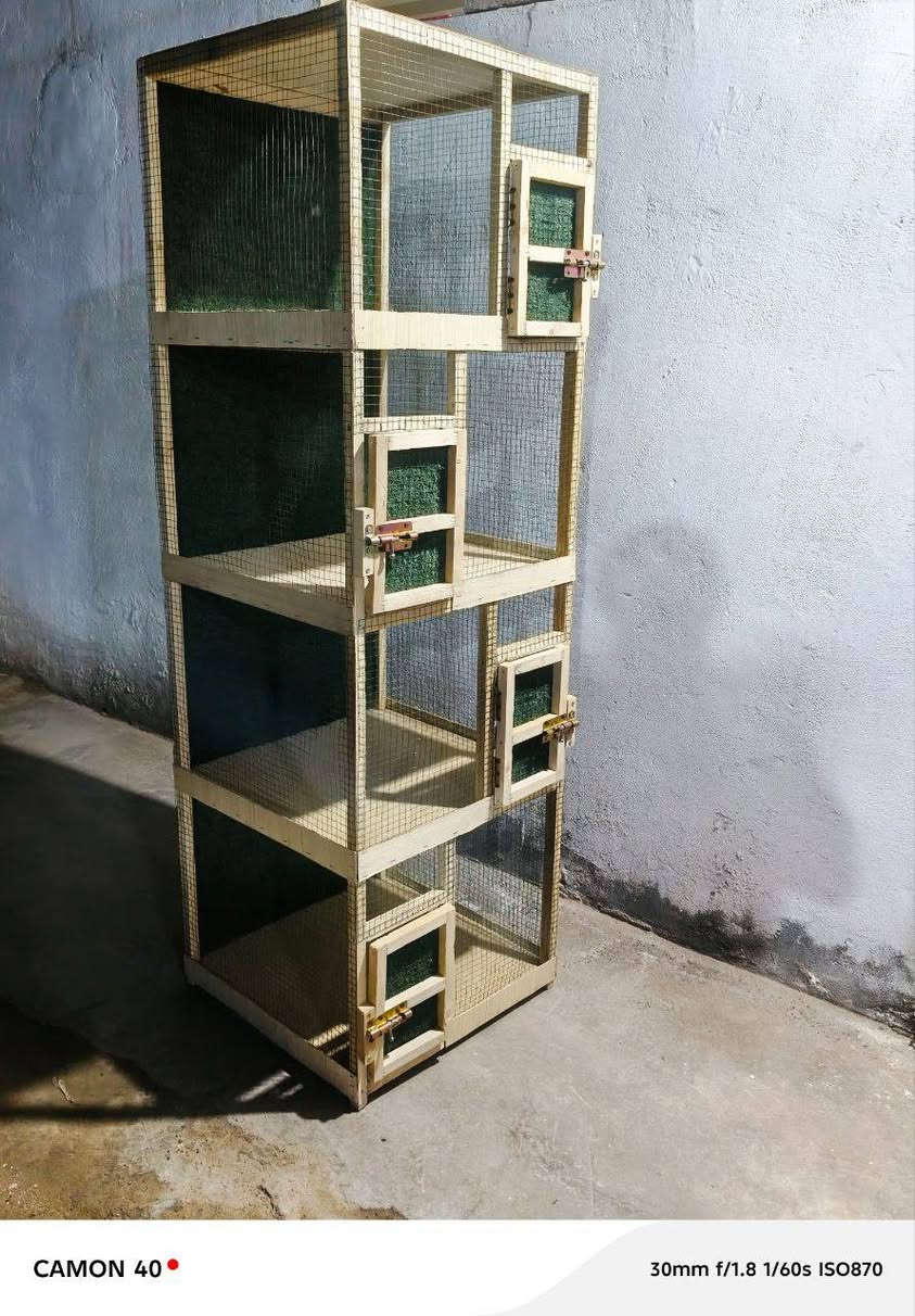 السلام عليكم 
قفص ٤ خانات السعر ٤٠ألف 
للتواصل الاتصال على الرقم *********** 
الخاص مغلق
