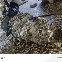 كير مونيكا • نجف • ٤ أوراق