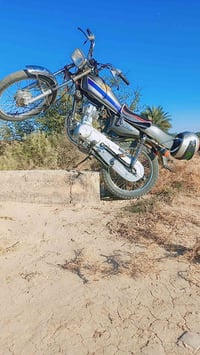 دراجه • ديوانيه • قضاء الشاميه