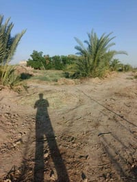 طريق لحلو • دونم • واجهة ٢٠م