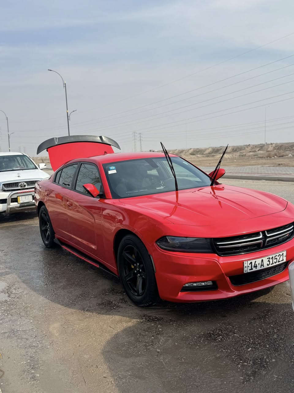 لبيع ومراوس بوبامه ***********
