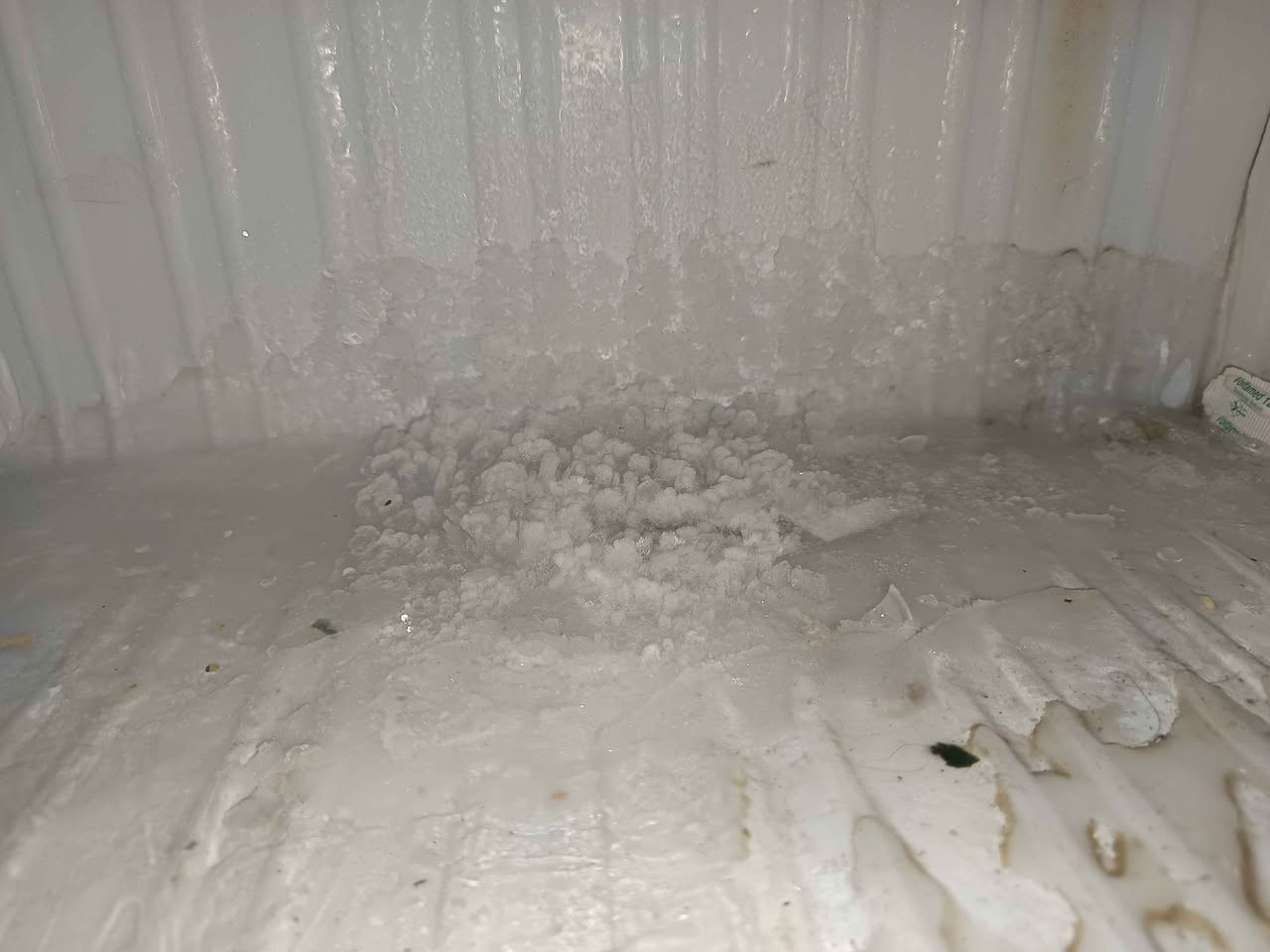 ‎ثلاجه للبيع‎ كربلاء, العراق


**إذا كنت صاحب هذا الإعلان وتريد حذفه لأي سبب، رجاءا أرسل رسالة إلى الدعم الفني**