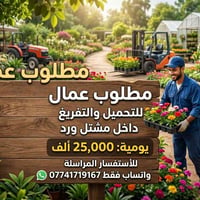 مطلوب عمال مشتل ورد التواصل واتساب فقط 07741719167 @فرص عمل