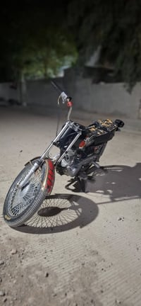 ارشة ٢٠١٨ • بدون اوراق • بعقوبة