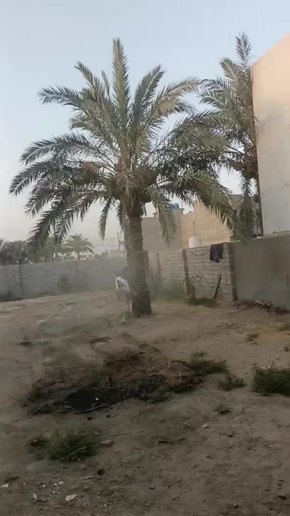 ثيل ديالى الطبيعي 🍀 متوفر كافة انواع الثيل
الثيل امريكي والهندي والايطالي والفرنسي
كادر متخصص :
لتجهيز... مشاتل🌴
والدوائر حكوميه🏦
منازل🏡 منتزهات🏄
موجود خدمة توصيل 🚕🚕 لكل محافظات العراق 
للطلب التواصل مع الصفحة او الاتصال على 
***********
***********
