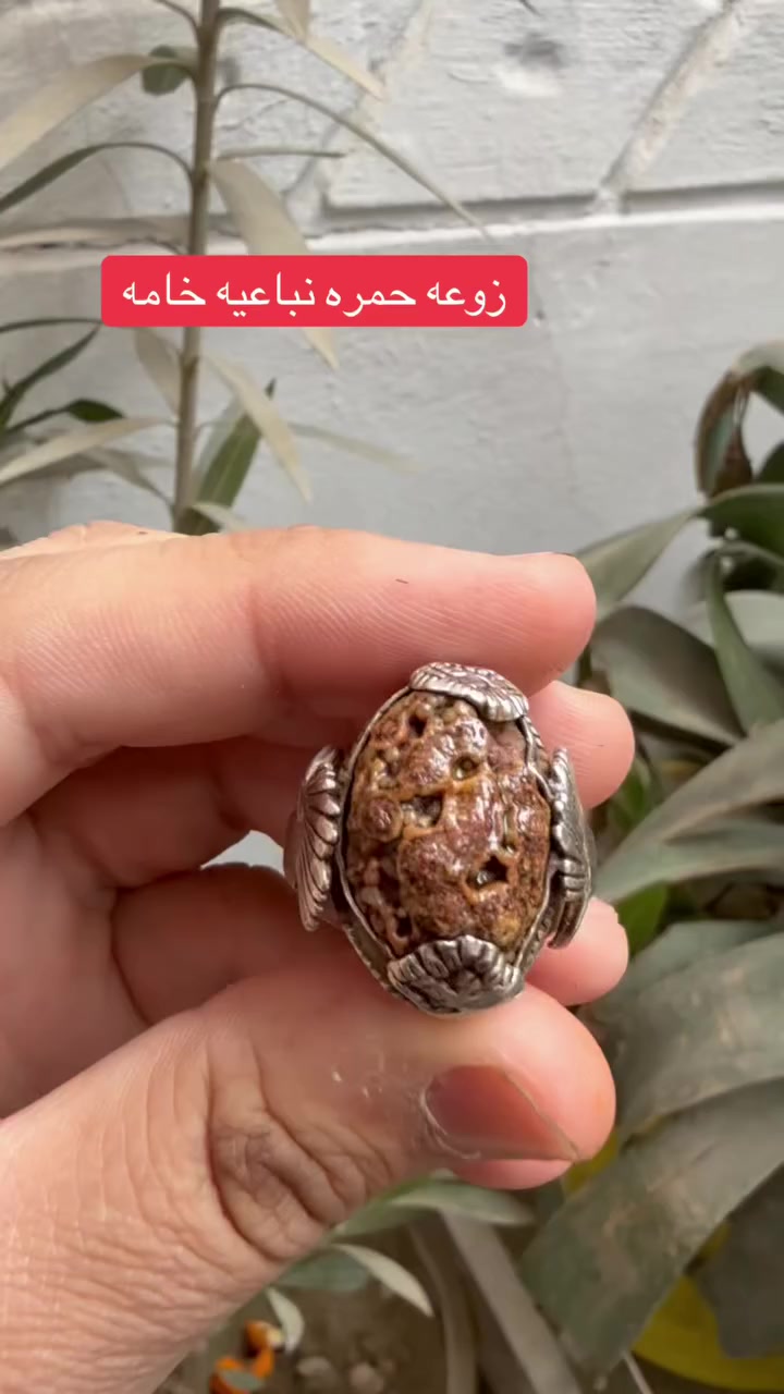 السلام عليكم / زوعه حمره نباعيه خامه
صياغة يدويه ثكيله قياسه٢٢
يوجد توصيل لجميع المحافضات
***********
