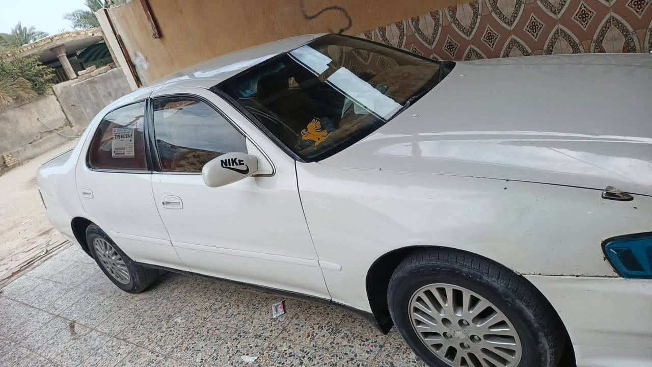 كرسته نفخ مكفوله كفاله عامه مكينه كير مكفولات دواخل حلوه سنوية 28مشروع وطني أ سياره بلاديه مكينه كير ونجي بالكارتون تبريد شغال  مال جناي سياره  السعر 60وبيها مجال  العنوان البصره المدينه  ***********
