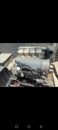 مولدة • ٤ بستم • ستامفورد انكليزي اصلي