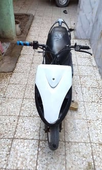 ماكس عدله • حربية • صحففين فلكه القاضي