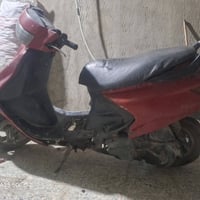 فراشة • شغاله • ٢٥٠