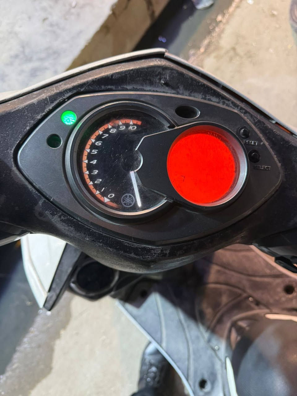 اسلام عليكم يوجد دراجة سكنس للبيع العنوان الوشاش شارع العريض مقابل أسواق رعد  الحسناوي رقم الهاتف ***********
