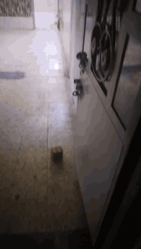 شقه لل اجار مكان بغداد الجديده النعيريه قرب مجسر مجمع الزهور ٠٧٧٤٠٠٧٢٠...