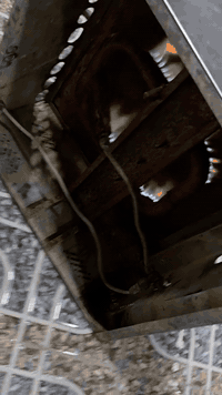 السلام عليكم 
گرين (طباخ) بركر للبيع نضيف وشغال
سل ستيل ثقيل بواري فافون 

السعر 30
للاستفسار الاتصال على الرقم ***********
