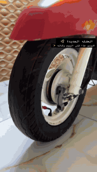 سلام عليكم
ماكس بوليس كفاله عامه من كلشي وكاله الدراجه 
كلها ختم واحد و غرضها كلها بلادي 
شلعه و معدال و كلشي شغال ✨***********
