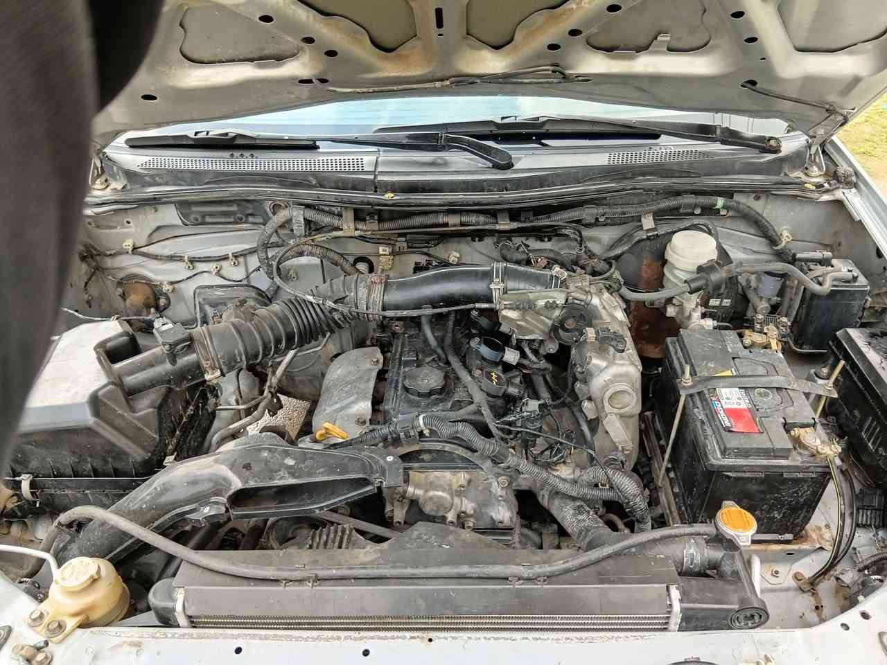 ميسبوشي ٢٠١٠
صبغ عام 
ضرر تكمه باب وشويه من قماره 
اثر سقوط شجره 
باقي مكفول 
*********** 
ديالى بعقوبه للبيع ٧٨ ورقه وبيها مجال بسيط
