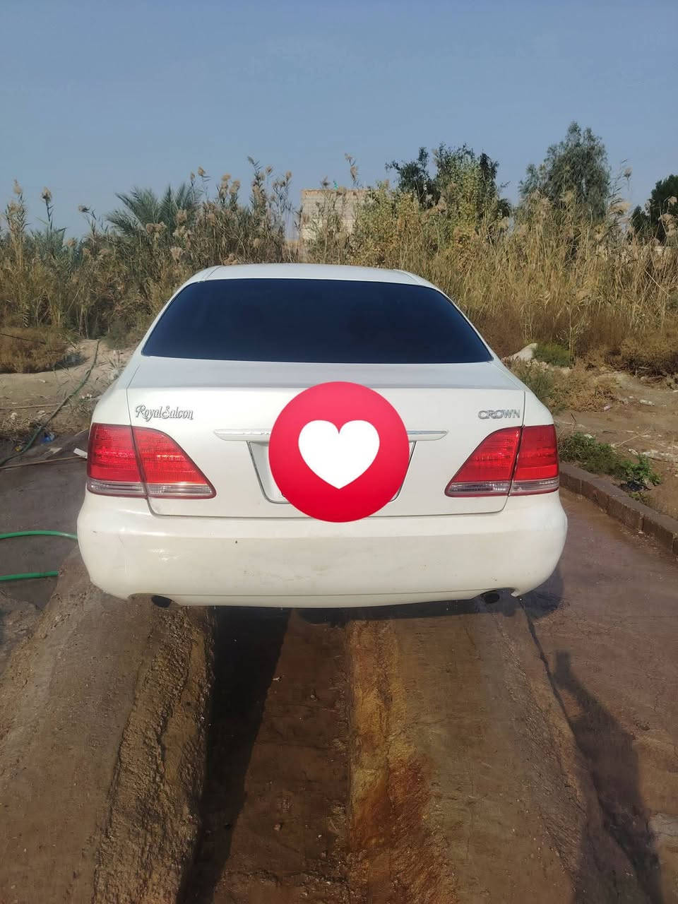 شاهينه 2007 دخول جديد كارتون گصه مكينه وكير كارتون حداده تخم تاير كهربائيات لايت زنون جاهزه سعر 37 مكان ذي قار شطره الگطيه ***********
