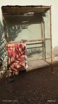 اقفاص • ديوانيه