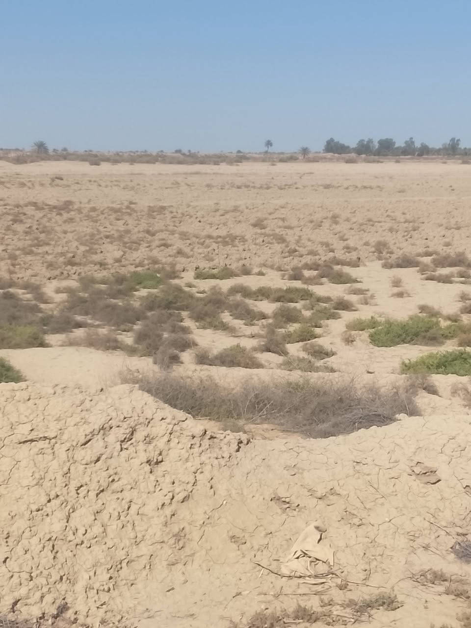 أرض زراعية للبيع مساحه 200دونم طابو زراعي سند 25مستقل إفراغ تام باسم المشتري مكان الارض ناحيه الطليعه قرب الشارع العام حله ديوانيه للاتصال أو الاستفسار ***********
