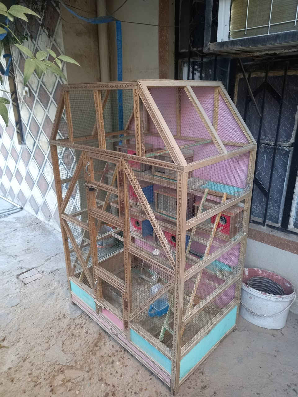 السلام عليكم من رخصت الادمن المحترم متاح قفص للبيع السعر ٧٥ الف  العنوان بغداد.حي العل (***********)
