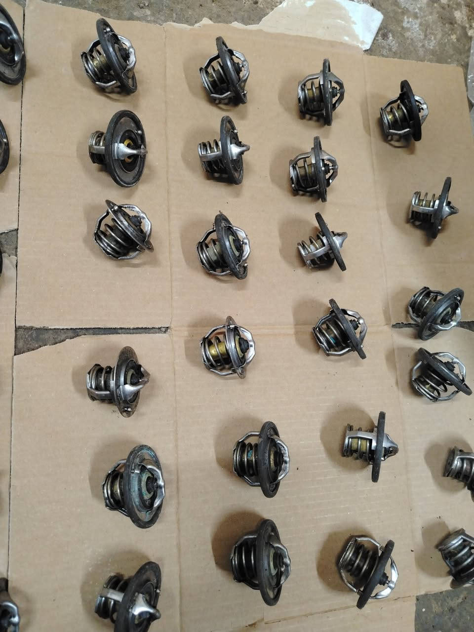 ولف حماوه سافران كل الموديلات
غير متواجد على الفيس
اتصل واتساب ***********
يوجد توصيل جميع المحافظات
