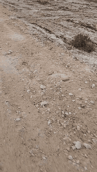 قطعه طاب واسهم مساحه 360 خدمات ماء كهرباء وجه 20 ونزعت 18 سعرها 25 مليون عنوان نهايهع شارع السفينه للاستفسار اتصال على هذا الرقم ***********
