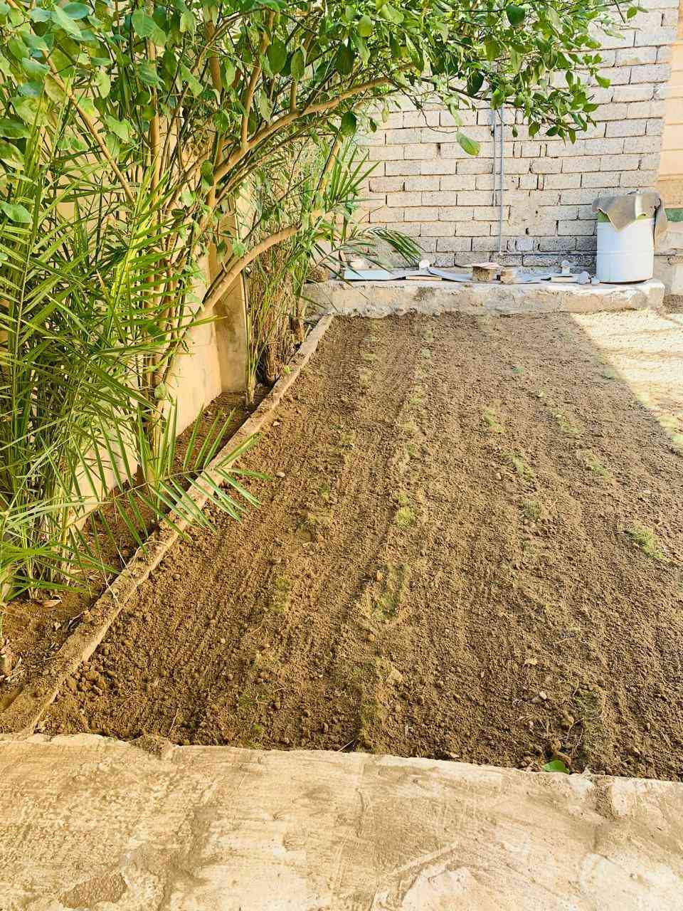 السلام عليكم اشتقل جميع الحدائق والبساتين  وتنظيف الحدائق من الدغل وتقليم الأشجار وزرع الشتل وقص الحدائق بل مكينه عل نمره وحدة وقص الأشجار الكبار  كادر متميز وسريع إتصل رقم الهاتف***********
