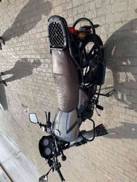 داي وان • موديل 2023 • أوراق أصلية