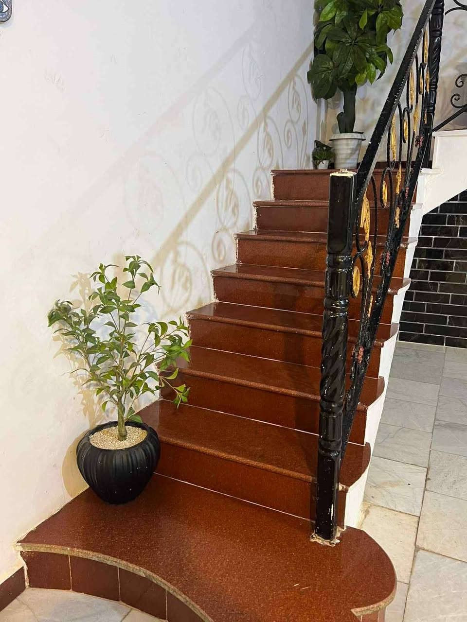 دار للبيع  في البيضاء بصف الانوار مساحه ٤٢٠ متر والسعر مناسب جدا واتساب موجود ***********
وجه البيت عل سده ماكو بناء كباله ركن عله شارع ١١ بصفه 
غرفتين نوم ٦/٤ 
مطبخ ٤/٦
هول ٩/٥
ستقبال ٩/٥
مجوعه صحيه غير مشتركه 
تواليت ٣/٢ 
حمام ٣/٢
البيت طابق واحد 
غرفة نوم واحده فوك ٦/٤ مع مجوعه صحيه مشتركه كامله 
كامل بورسلين جدار درجه اوله 
جدران مرمر ارضيات مرمر بيات درج مرمر***********
