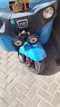 شباب هورنات للبيع شرط الفحص ولقناعه يلا تاخذهن زنابير 07718639167