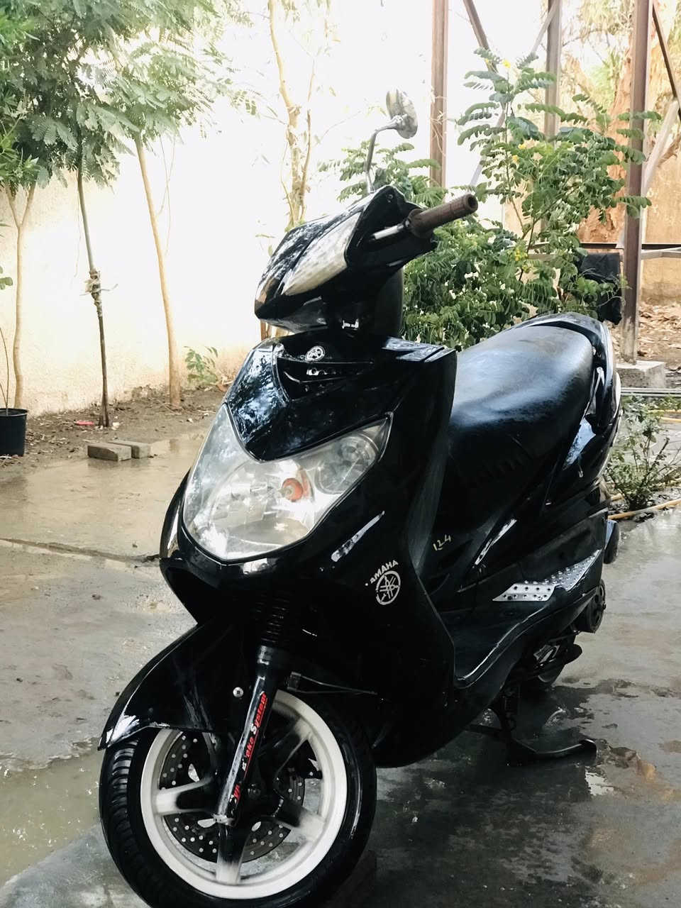 سلام عليكم سكنس فحل للبيع دراجه اي نقص مابيها كلشي شغال نكره سلف مكينه مكفوله مندخان كامله شراي 
***********
