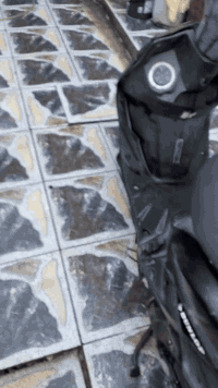 السلام عليكم دراجه ماكس ثعلب سرعه ١٤٠ للبيع الدراجه على وضع الرمبه ملحه شلعه ومعدل تاكل الشارع مختمه ختم واحد كهربائياته شغاله نكره سلف وهندر بكل وكت السعر٥٥٠ الرقم ***********المكان حي الجهاد
