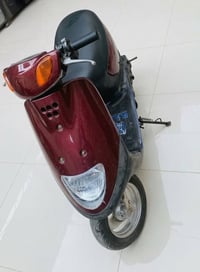 منغولي نثيه • شغاله • ناصريه