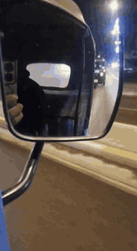 سلام عليكم هورنات بوش أيراني للبيع 175 أتصال ***********
