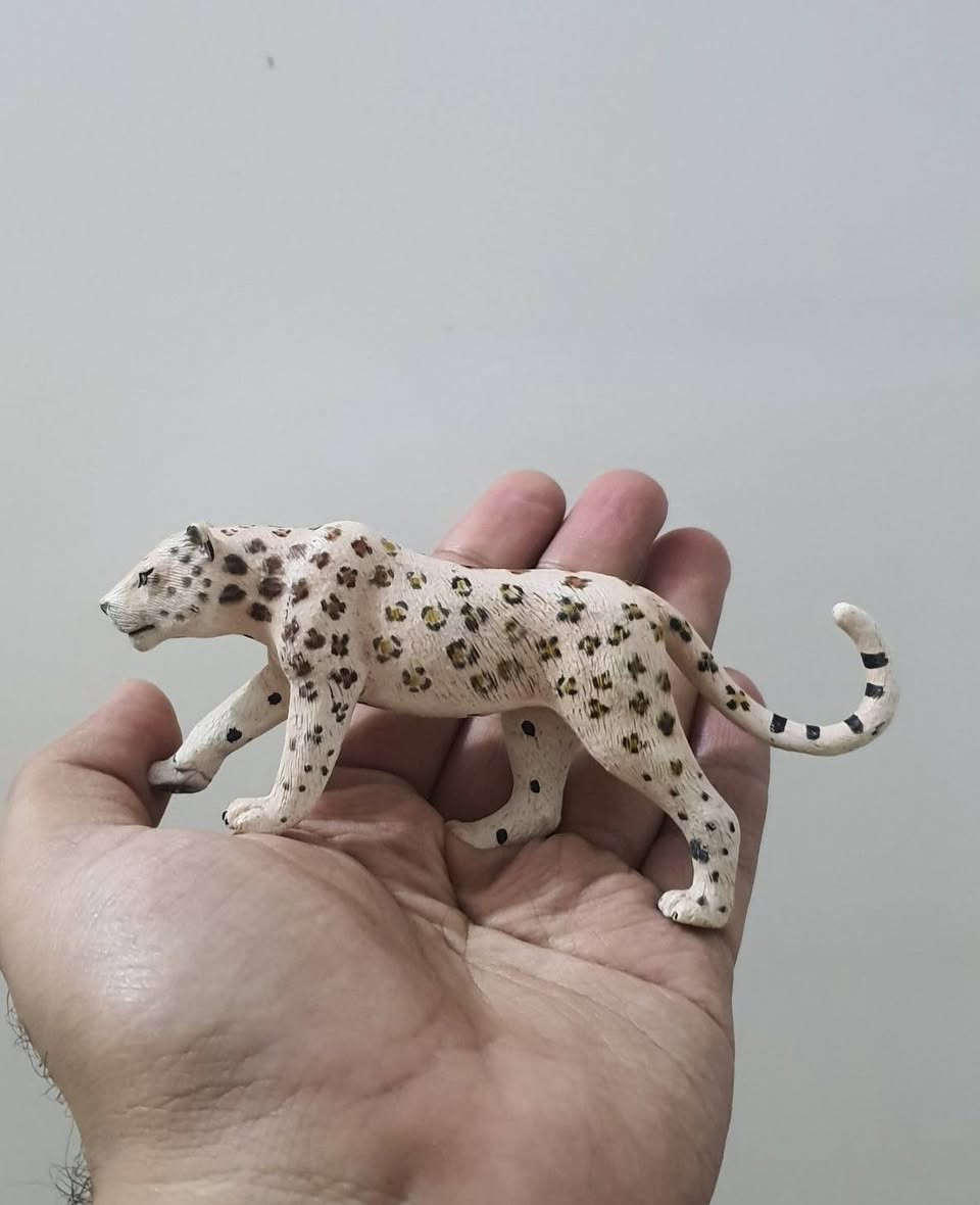 متوفر شركة موجو 🌱🤍
ماموث


**إذا كنت صاحب هذا الإعلان وتريد حذفه لأي سبب، رجاءا أرسل رسالة إلى الدعم الفني**