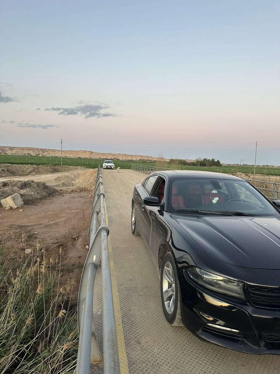 جارجر للبيع موديل 2017 خليجي سياره كلين بيه بارد باب عكس السايق شي بصيط كفاله من الصبغ سياره فول ماعده ردارات كشانه تبريد تدفئه سياره جاهزه ماتصرف عليه لو ربع رقم اربيل السعر 225 ورقه وبيه مجال شي بصيط 
سنويه ال 2028
الهاتف *********** 
المو شراي ليتعبني
