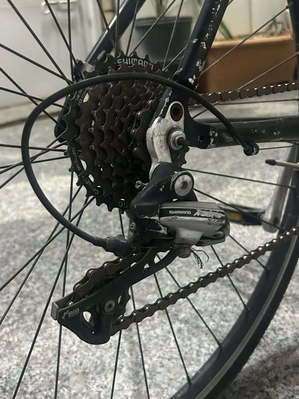 بايسكل رياضي وزن ريشه الخلفي ٨ بكرات والأمامي ٣  سعره ١٠٠ الف فقط


**إذا كنت صاحب هذا الإعلان وتريد حذفه لأي سبب، رجاءا أرسل رسالة إلى الدعم الفني**