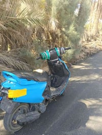 فراشه • ١٢٥ • شغاله