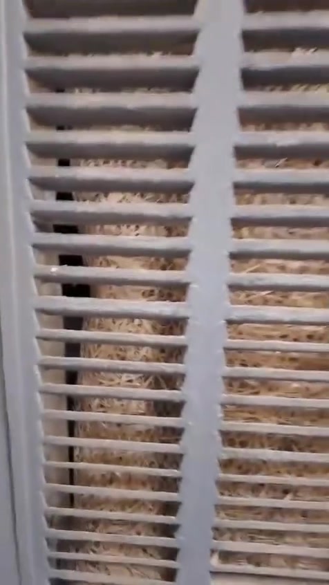 السلام عليكم مبردة نضيفة مال بيت للبيع السعر 150 الف وبيها مجال


**إذا كنت صاحب هذا الإعلان وتريد حذفه لأي سبب، رجاءا أرسل رسالة إلى الدعم الفني**