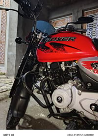 بوكسر • مرقمة بغداد • ماشية 40