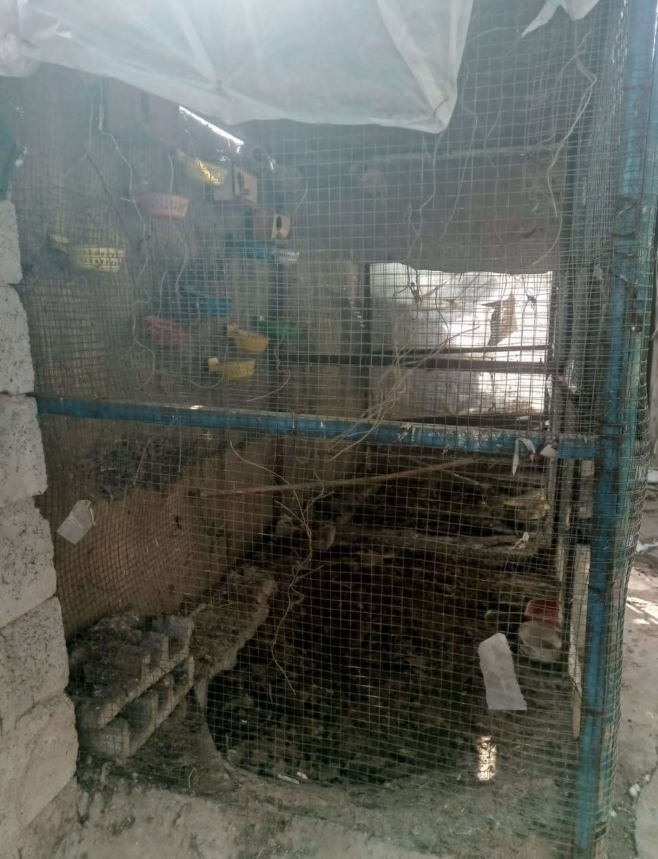 محمية للبيع كبيرة 
شهربان 
السعر 180
***********
