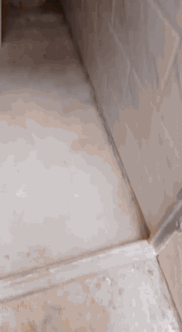 مبيضجي • جص وبورك • مدينة صدر بغداد