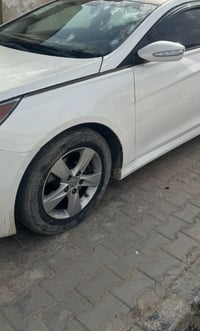 ويل كب • مراوس برنكات • حجم ١٦