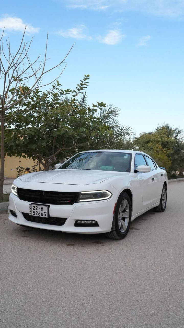 السلام عليكم
جارجر sxt مودل ٢٠١٨ محرك ٣٦٠٠
المواصفات 
كفالة عامة عدا طخة زغيرة بالباب الخلفي مرجعيها نفسها بدون صبغ 
كير مكينة حدادية بدي كلة مكفول 
فتحة قمارة 
شاشة كبيرة 
عداد ٢٦٠ 
كشنات حضن 
تشغل عن بعد 
نقطة عمياء 
بصمات عدد ٢
سستم صوت الباين 
دمام
مكان السيارة نجف 
السعر 240 بيها مجال قليل 
للتواصل ع الرقم ***********
 
للتواصل واتساب
