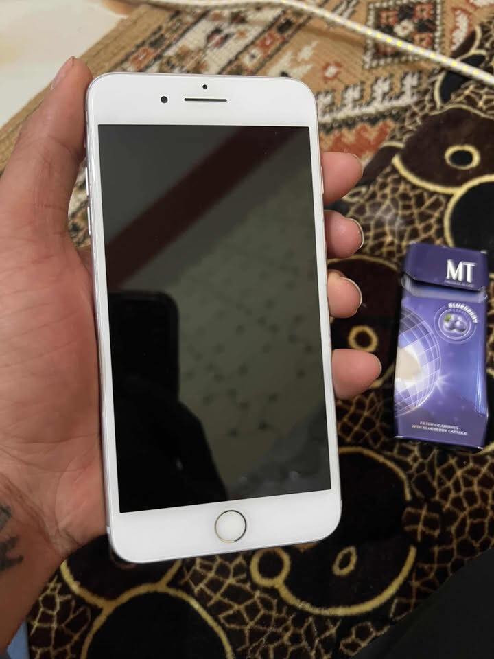 سلام عليكم 
7بلاص 
ذكره 256
بطاريه 100 هستوني مبدلهه اصليه ماتصرف شحن 
الباقي مكفول ممابدل شي غير البطاريه 
كله شغال بيع اول مراوس


**إذا كنت صاحب هذا الإعلان وتريد حذفه لأي سبب، رجاءا أرسل رسالة إلى الدعم الفني**