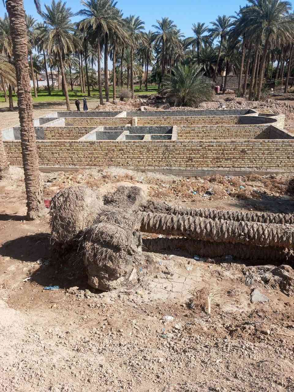 سلام عليكم ورحمه الله وبركاته 
ارض زراعيه المساحه 600متر
بيها بتلو مبني مساحه البتلو 230متر 

علما أن المشتري مخير يريد البتلو أو يريد 100او 200

طابو زراعي سند 25 
خدمات فول ماء كهرباء تبليط  
العنوان شارع الطهمازيه صعده الروائي مال البشوكان قرب مركز سيف سعد 

***********////ابو علوش ☎️☎️👉👉
