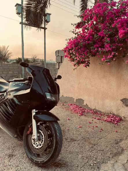 سلام عليكم ورحمه الله وبركاته
بطح قرش 900 بيه صوت بكن خفيف حيل حته مامأثر عله دراجه دراجه كامله أوراق وكمرك كامل واكفه عله بصمه التحويل دراجه جاهزة من كلشي نكرة سلف
15$وبيه مجال 
 العنوان /الانبار الرمادي
رقم/***********
